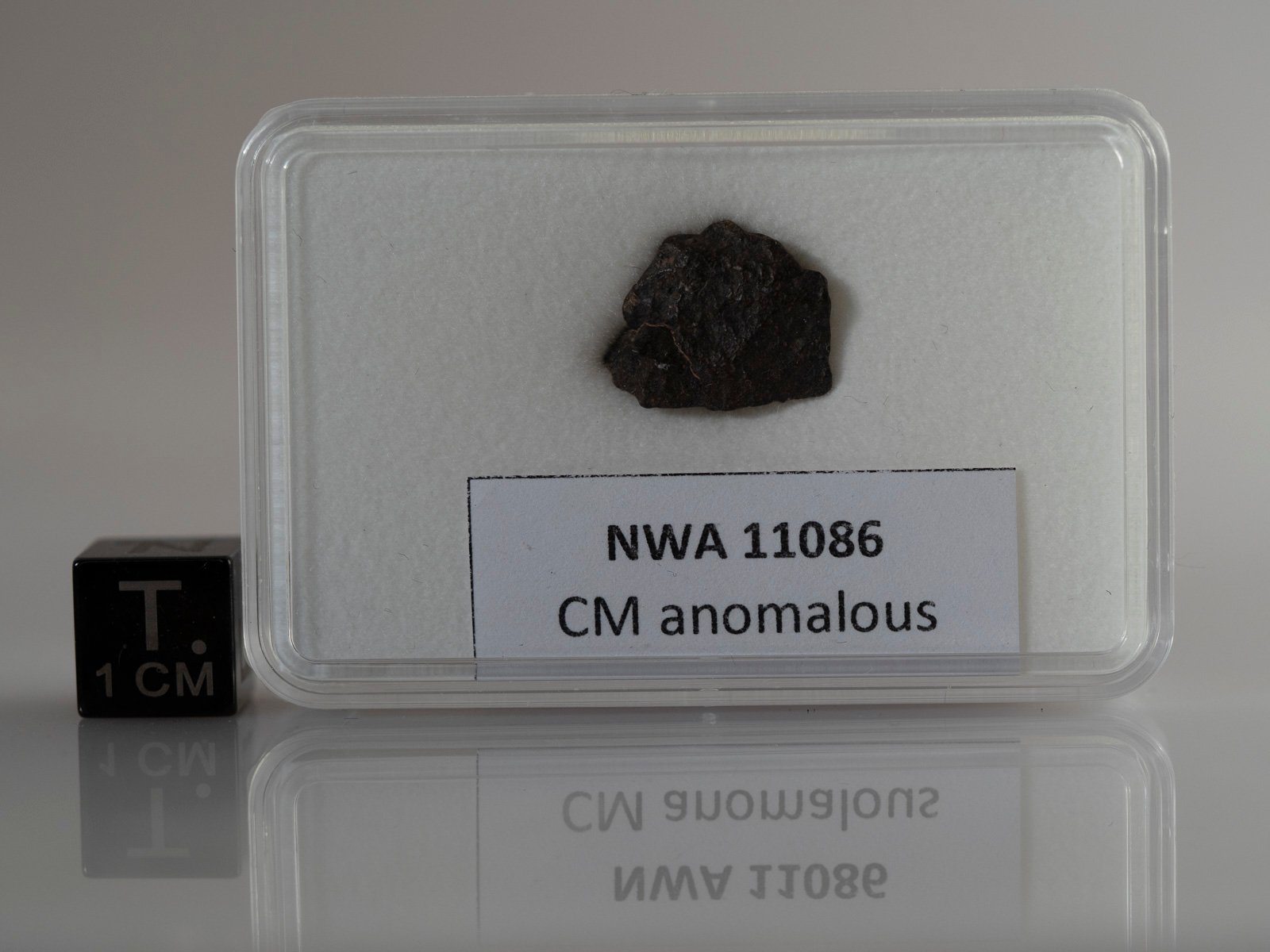 NWA 11086 (CM-an) - 1.122g fragment