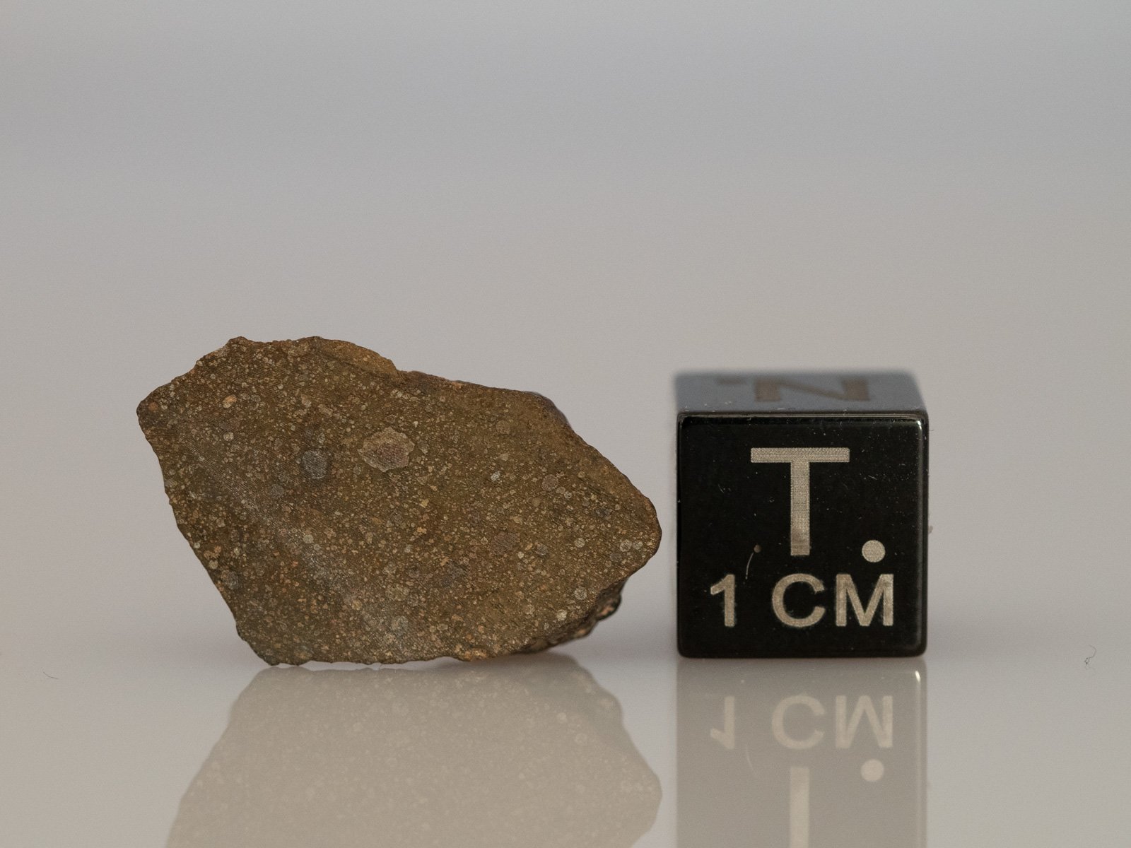 NWA 11086 (CM-an) - 1.88g endcut - Image 3