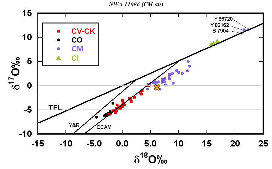 NWA 11086 (CM-an) - 1.066g fragment - Image 3