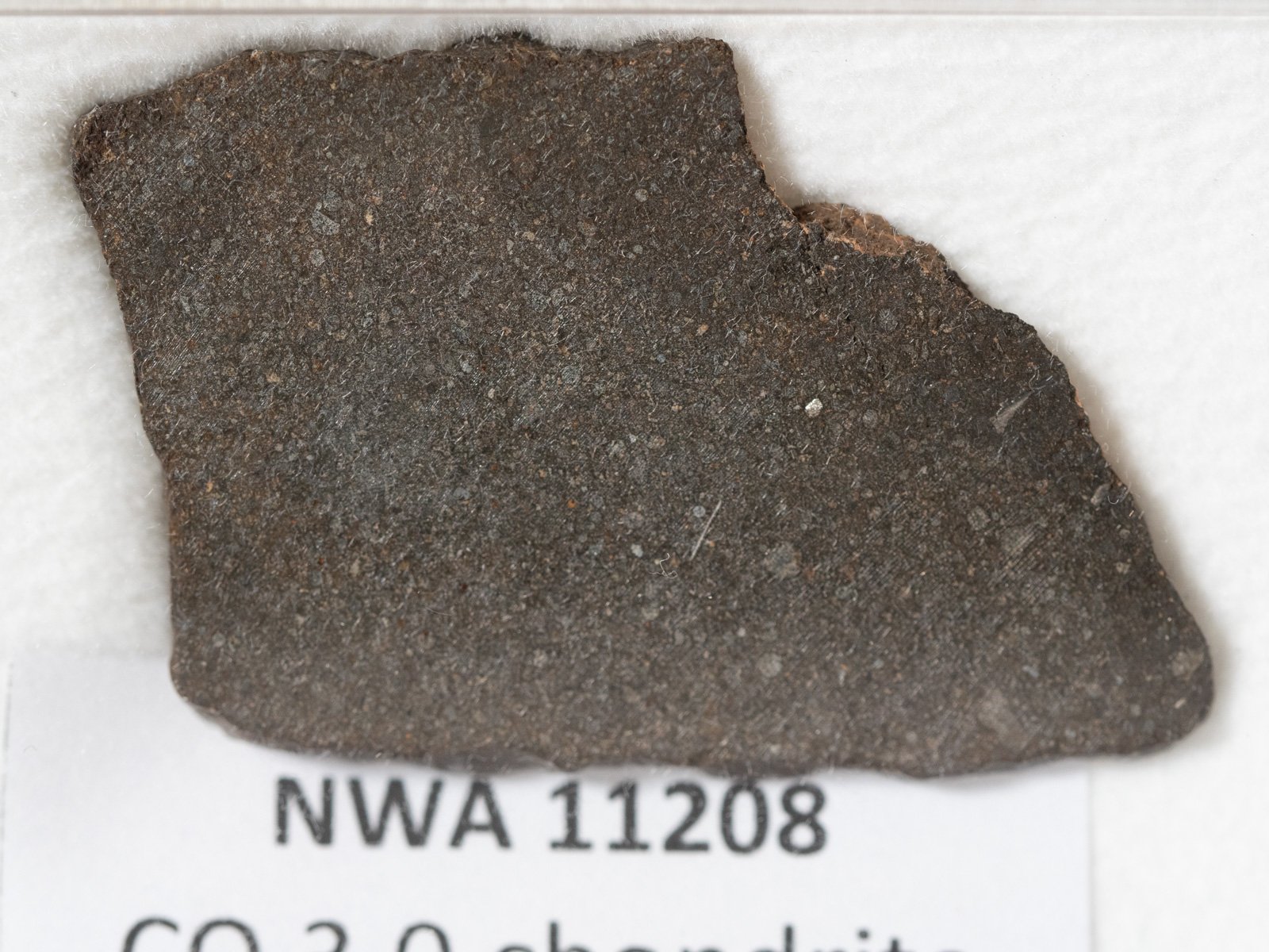 NWA 11208 (CO 3.0) - 4.08g slice - Image 2