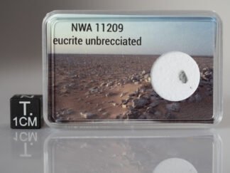 NWA 11209 (eucrite) - fragment nr 21
