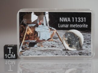 NWA 11331 (feldsp. breccia) - 0.754g slice