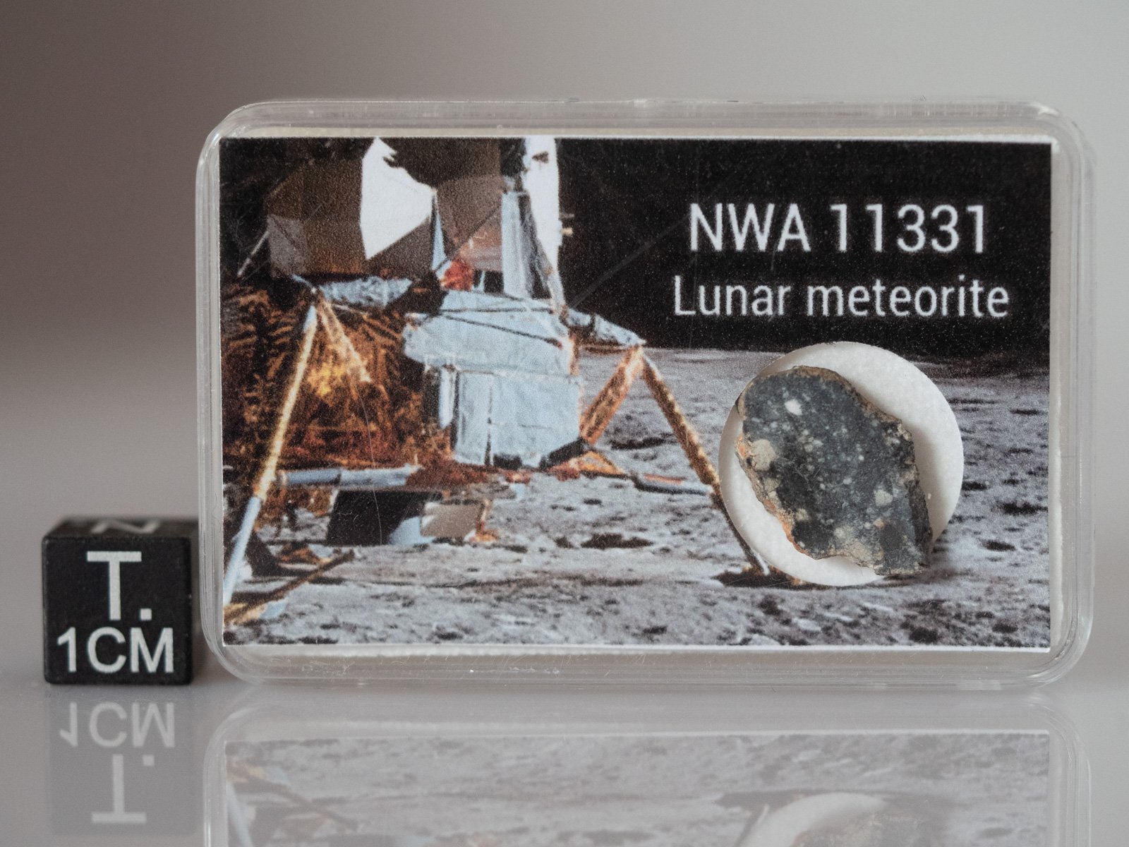 NWA 11331 (feldsp. breccia) - 0.754g slice