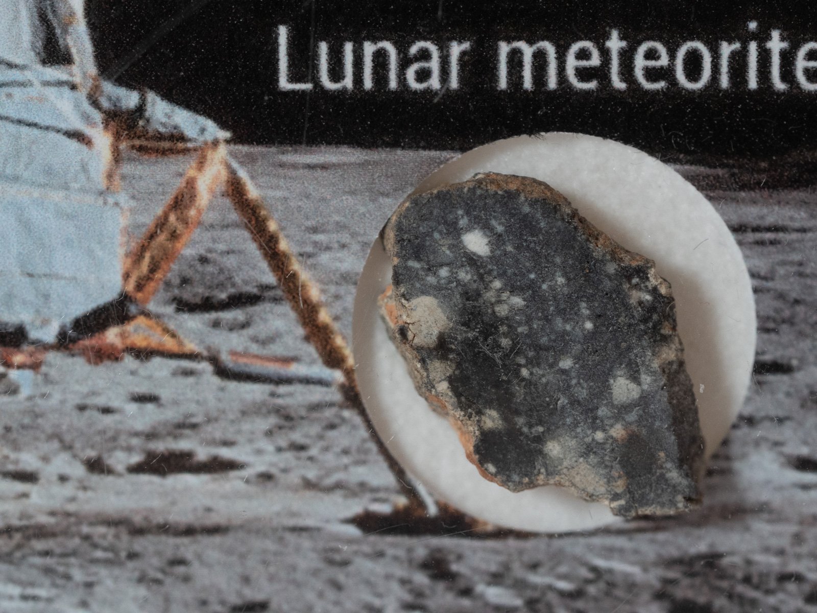 NWA 11331 (feldsp. breccia) - 0.754g slice - Image 2