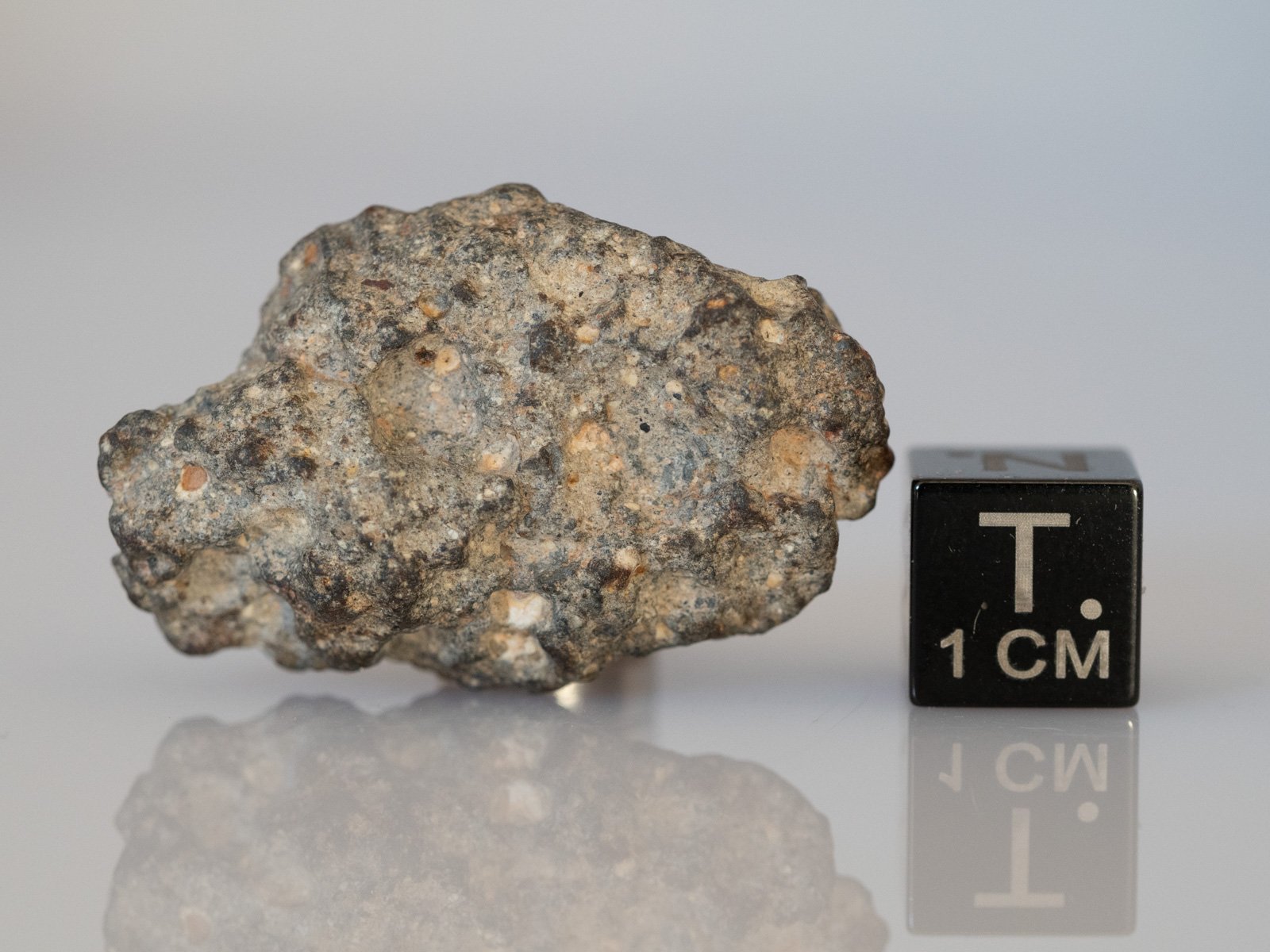 NWA 11331 (feldsp. breccia) - 11.64g specimen - Image 4