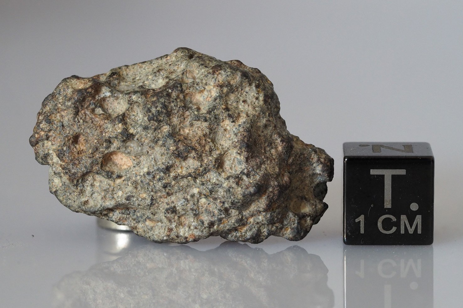 NWA 11331 (feldsp. breccia) - 11.64g specimen - Image 3