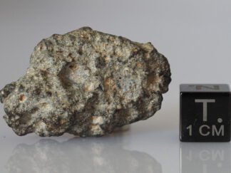 NWA 11331 (feldsp. breccia) - 11.64g specimen