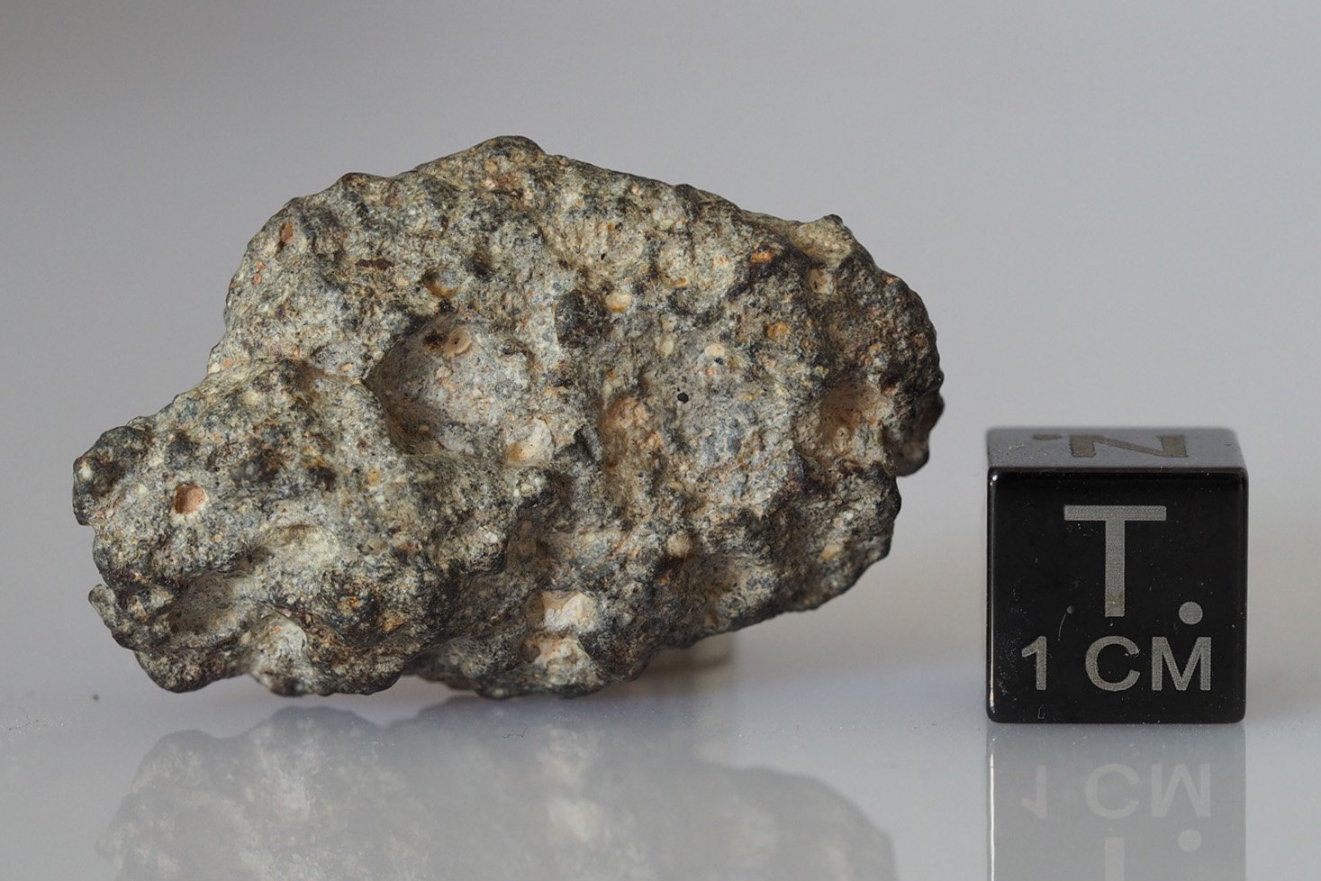 NWA 11331 (feldsp. breccia) - 11.64g specimen
