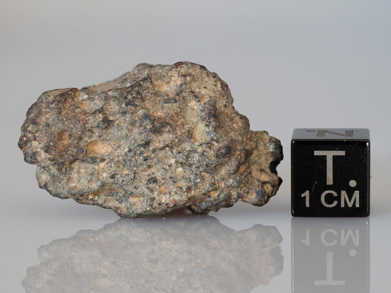 NWA 11331 (feldsp. breccia) - 11.64g specimen - Image 2