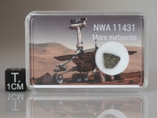 NWA 11431 (shergottite) - 0.215g part slice with crust