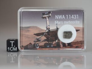 NWA 11431 (shergottite) - 0.220g part slice with crust