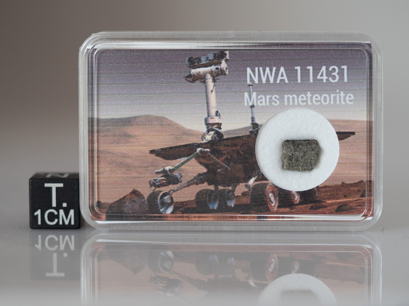 NWA 11431 (shergottite) - 0.220g part slice with crust