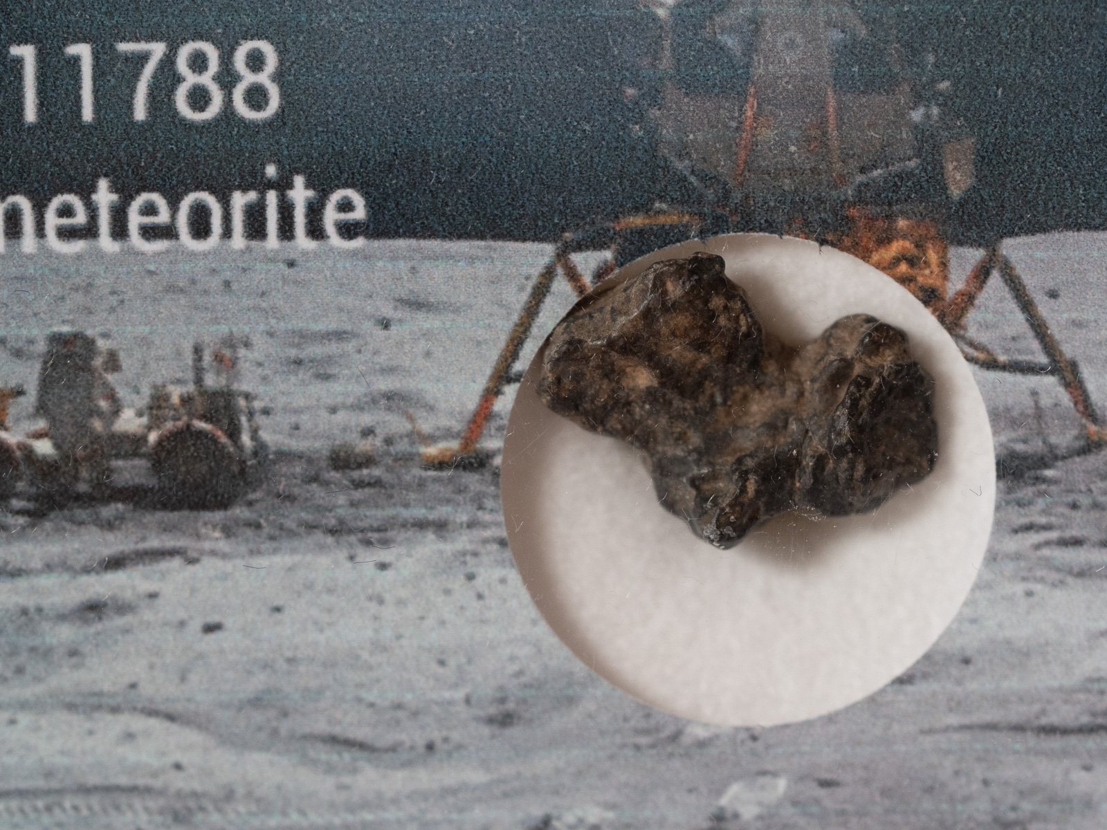 NWA 11788 (feldsp. breccia) - 0.613g specimen - Image 2