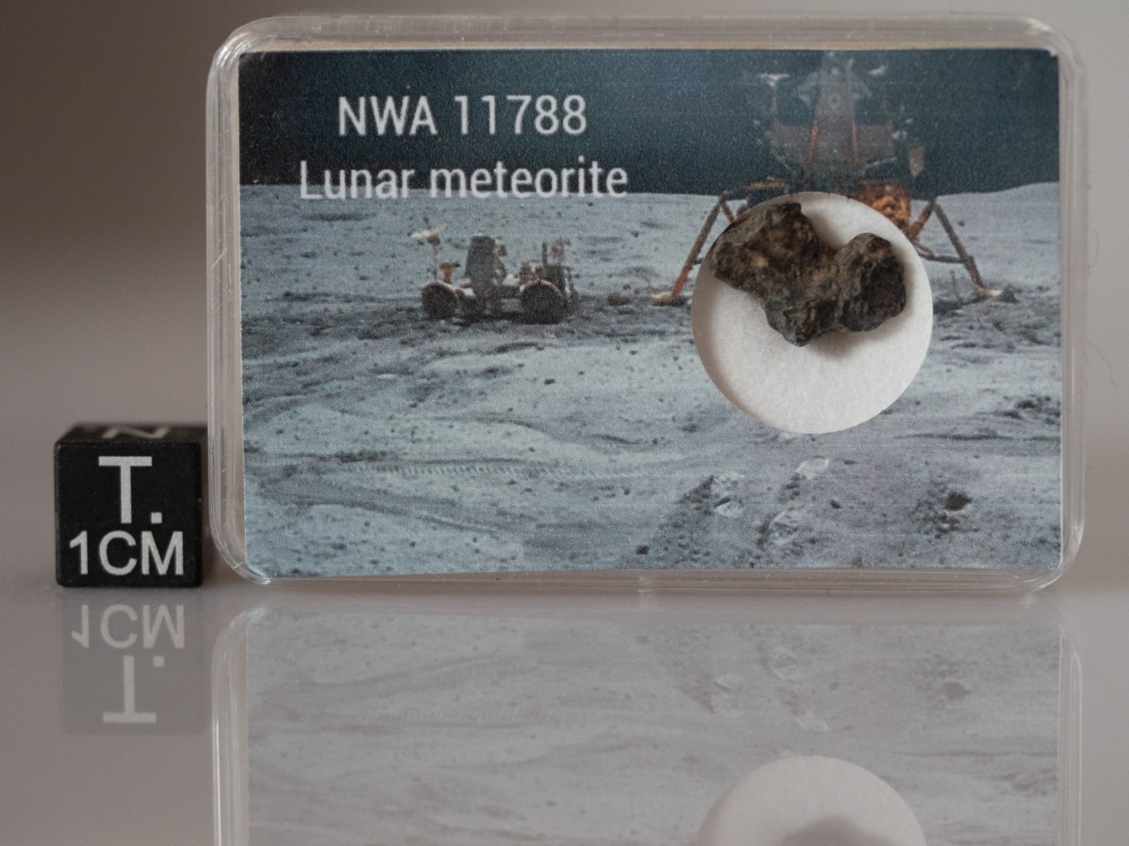 NWA 11788 (feldsp. breccia) - 0.613g specimen