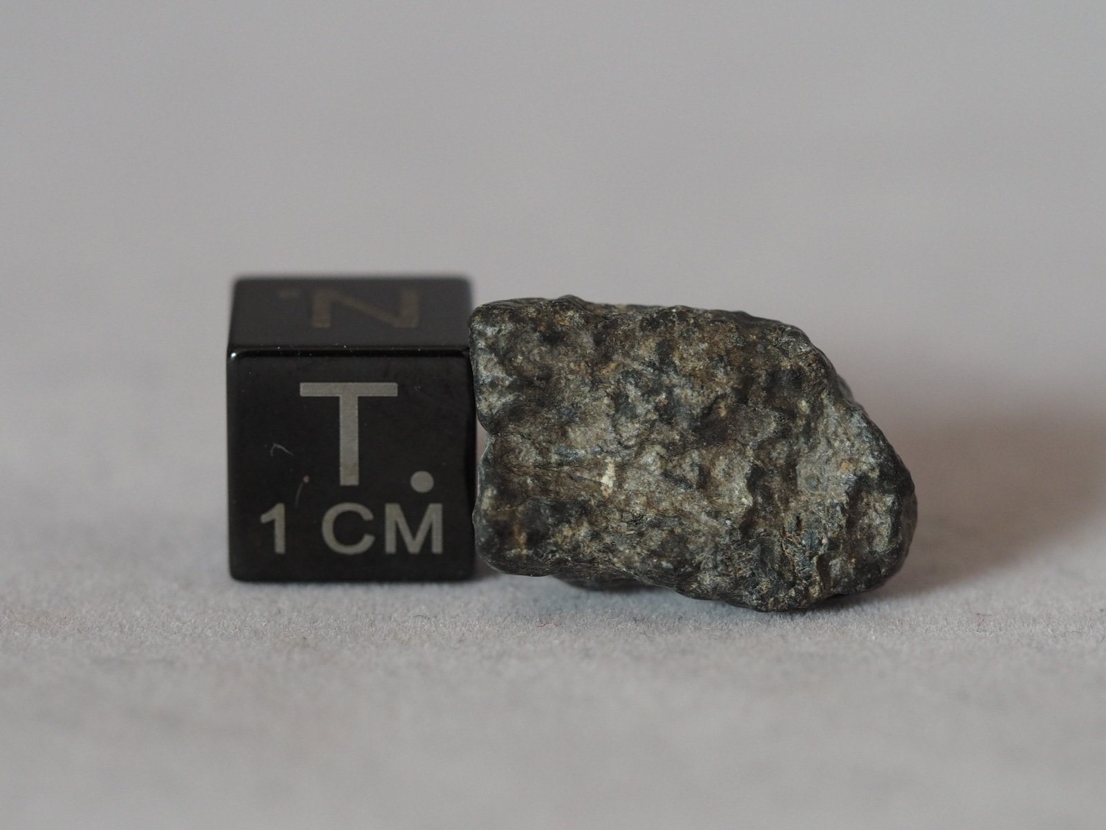 NWA 11788 (feldsp. breccia) - 2.76g specimen - Image 2