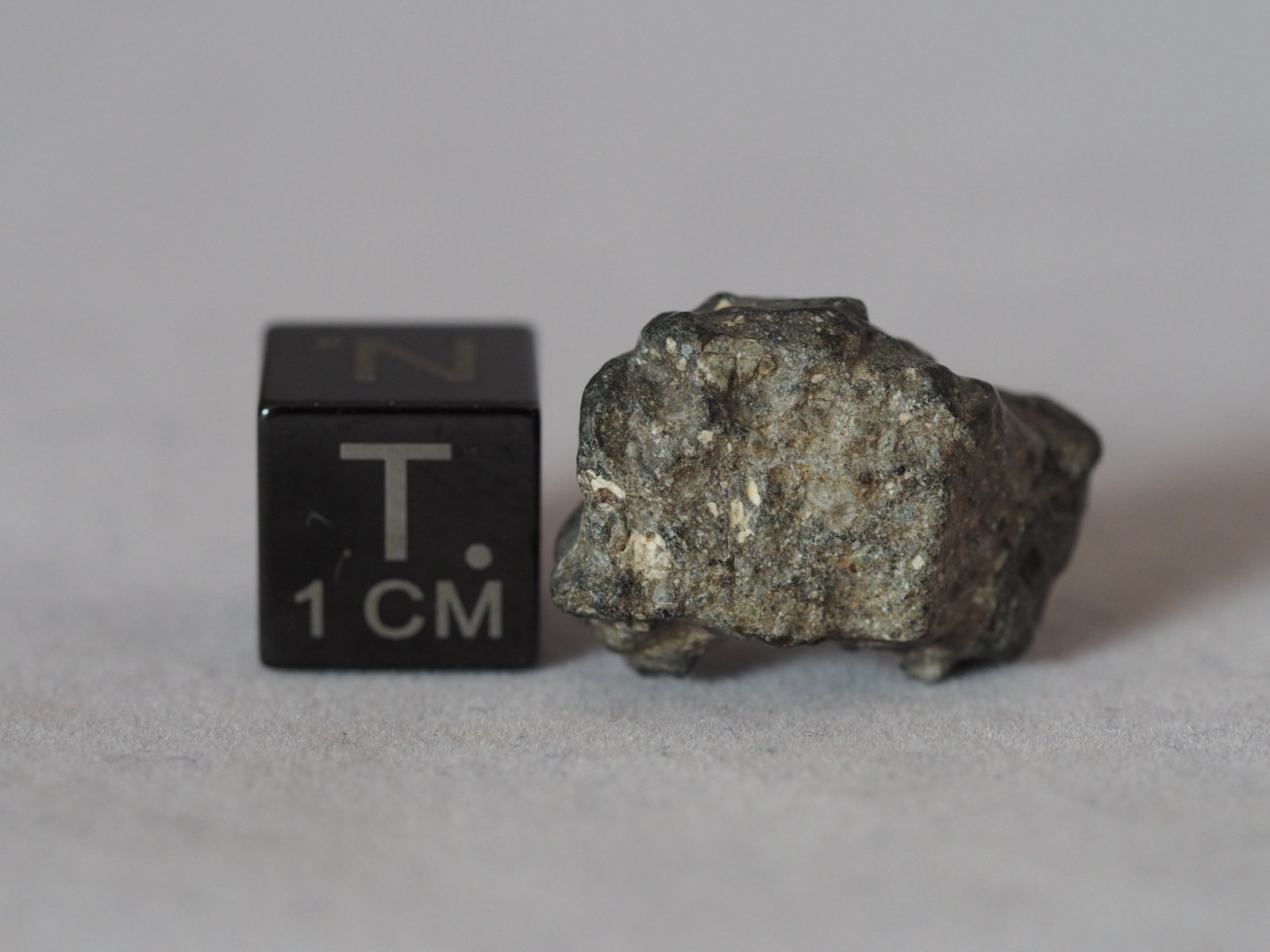 NWA 11788 (feldsp. breccia) - 3.52g specimen - Image 2