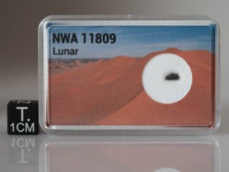 NWA 11809 (feldsp. breccia) - 0.025g part slice