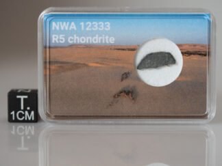 NWA 12333 (R5) - 0.145g part slice