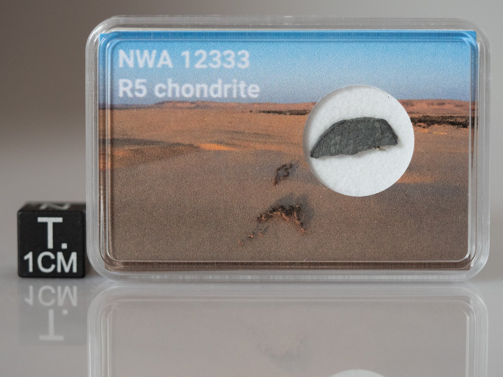 NWA 12333 (R5) - 0.145g part slice