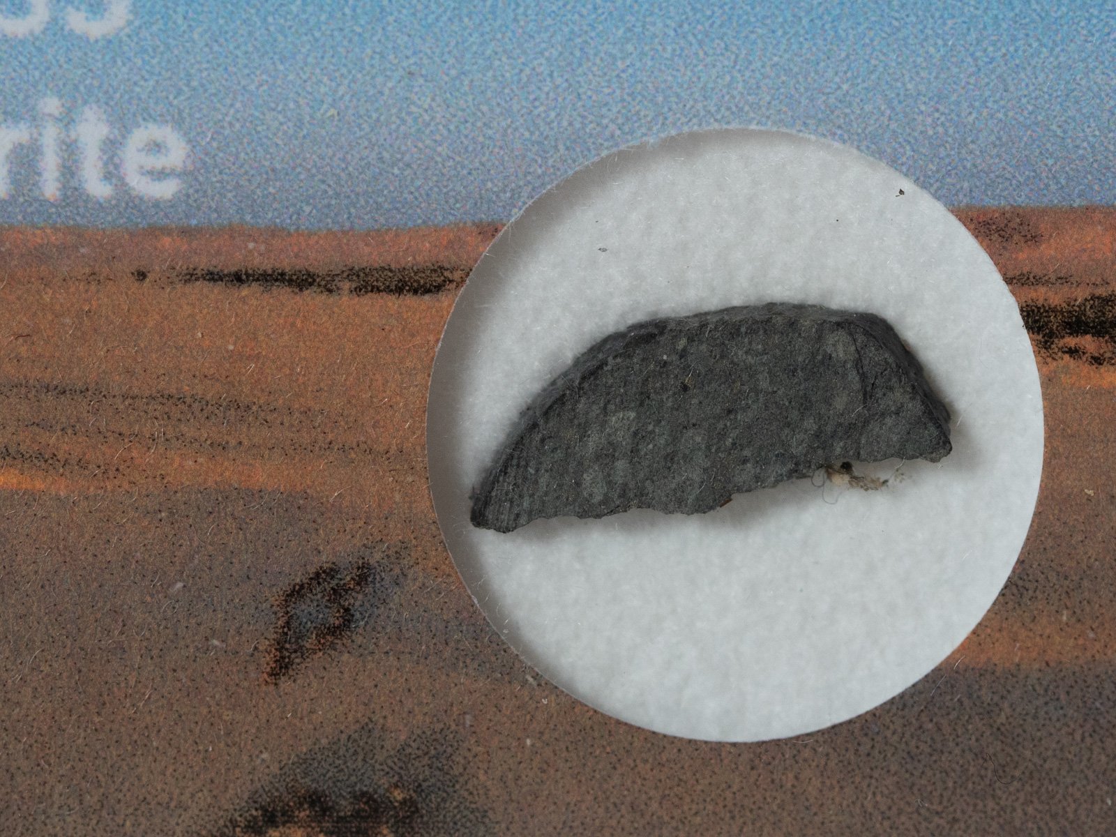 NWA 12333 (R5) - 0.145g part slice - Image 2