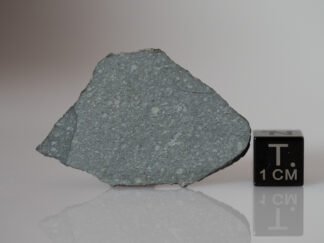 NWA 12333 (R5) - 3.48g slice