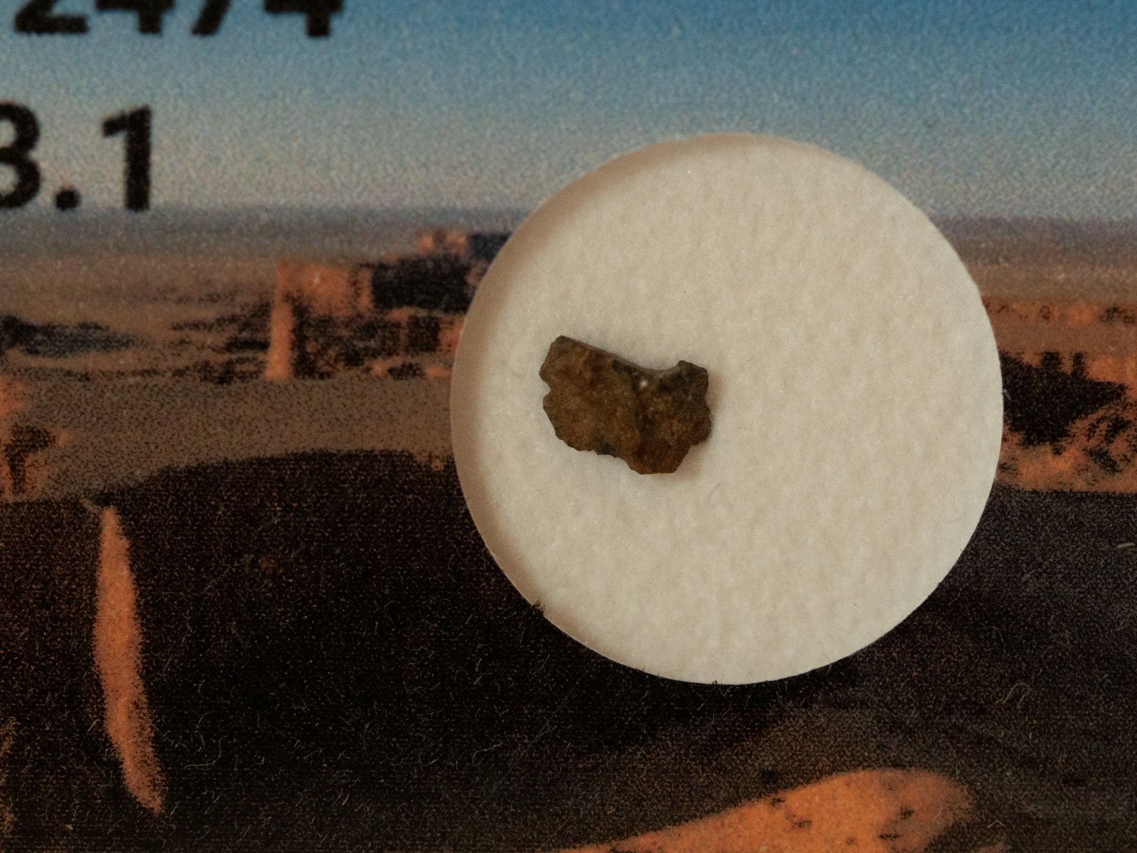 NWA 12474 (CVred 3.1) - 0.032g fragment - Image 2