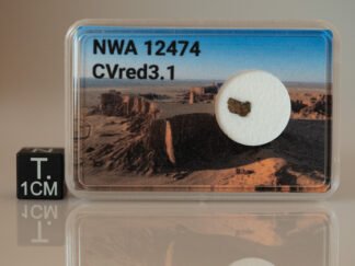NWA 12474 (CVred 3.1) - 0.032g fragment