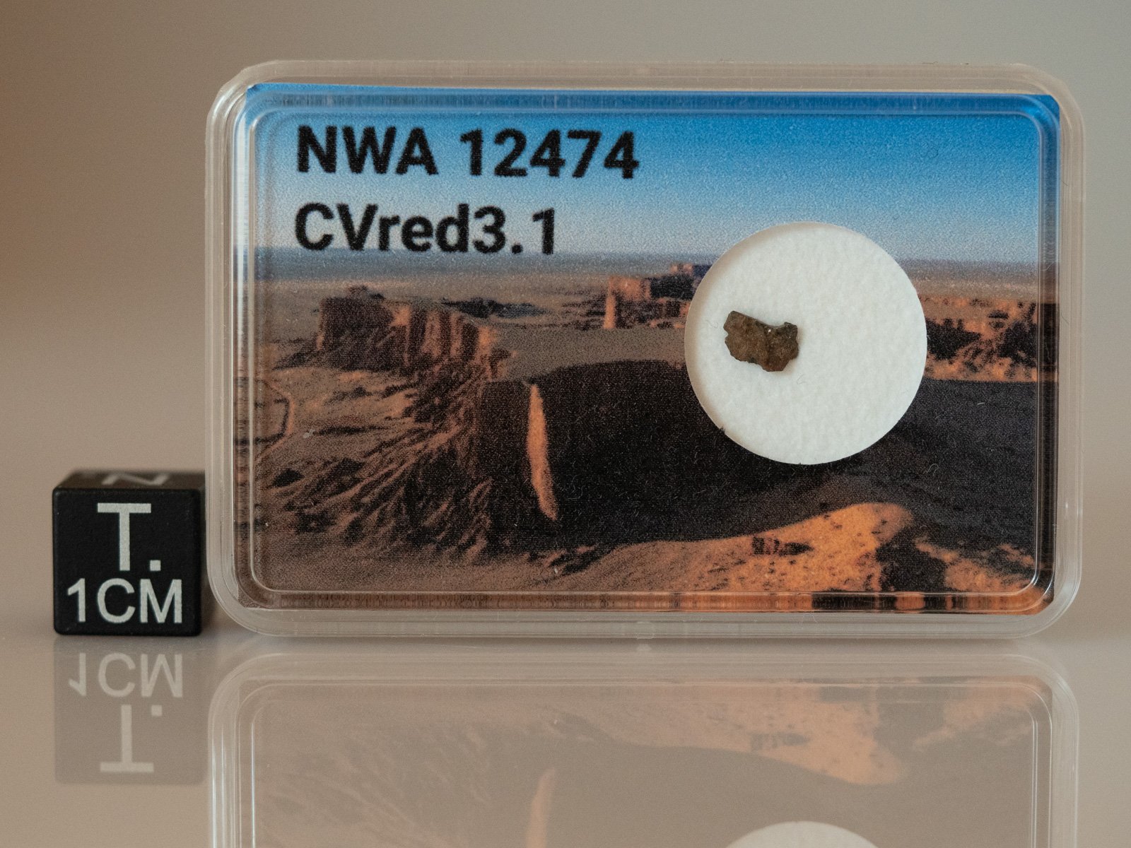 NWA 12474 (CVred 3.1) - 0.032g fragment