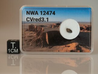 NWA 12474 (CVred 3.1) - 0.043g fragment