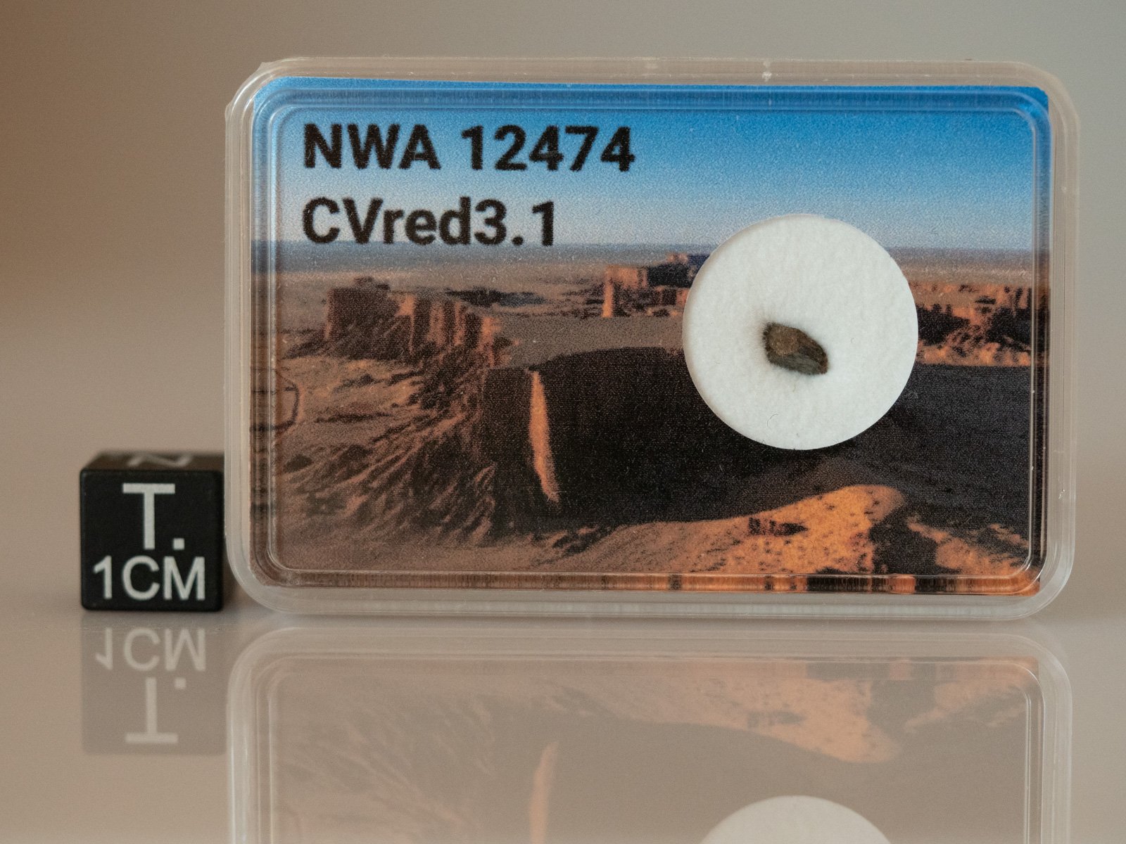 NWA 12474 (CVred 3.1) - 0.043g fragment