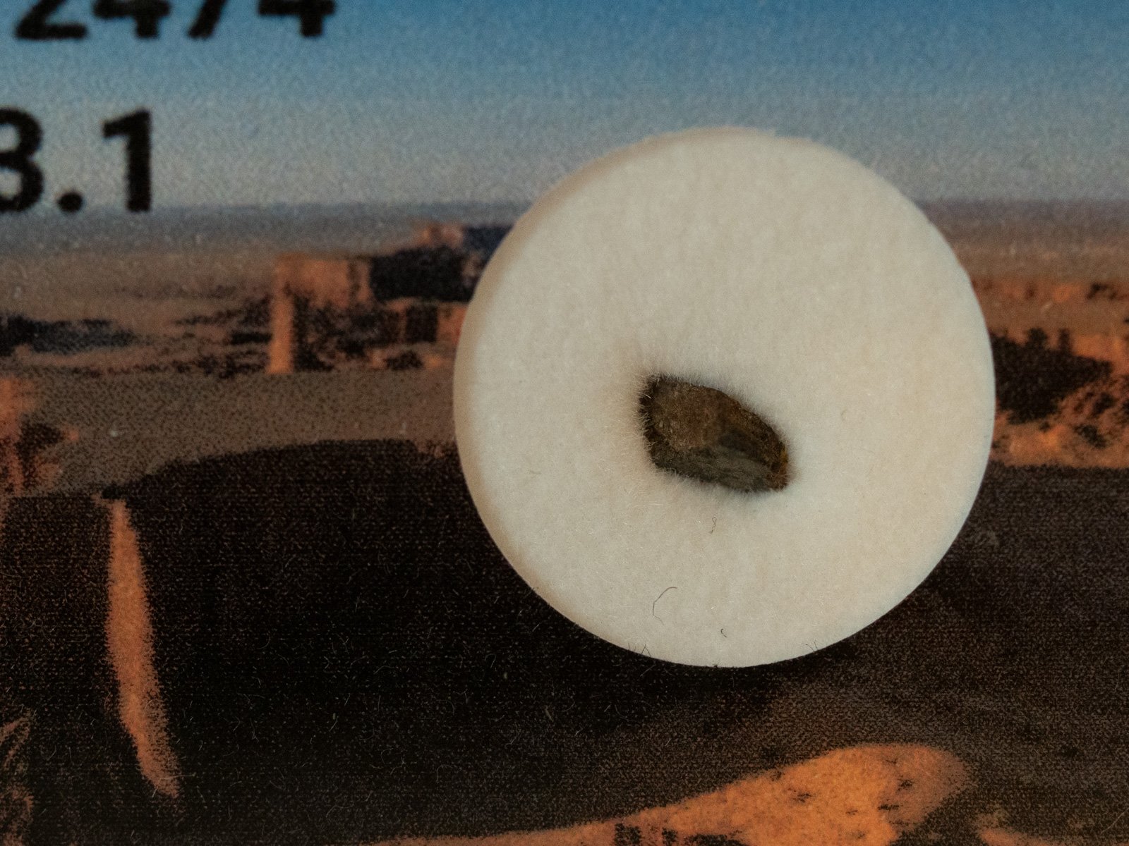 NWA 12474 (CVred 3.1) - 0.043g fragment - Image 2