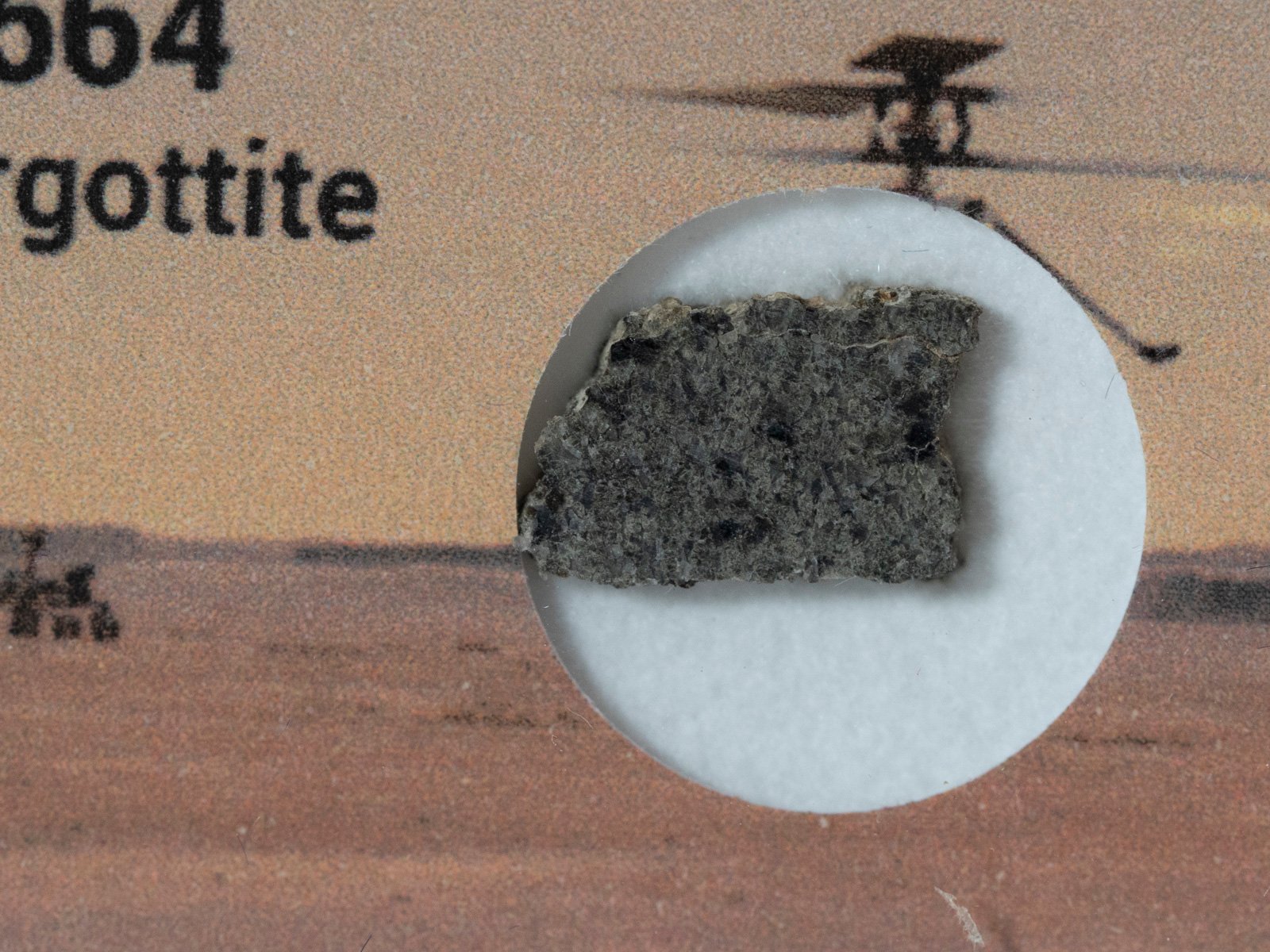 NWA 12564 (shergottite) - 0.379g part slice - Image 2