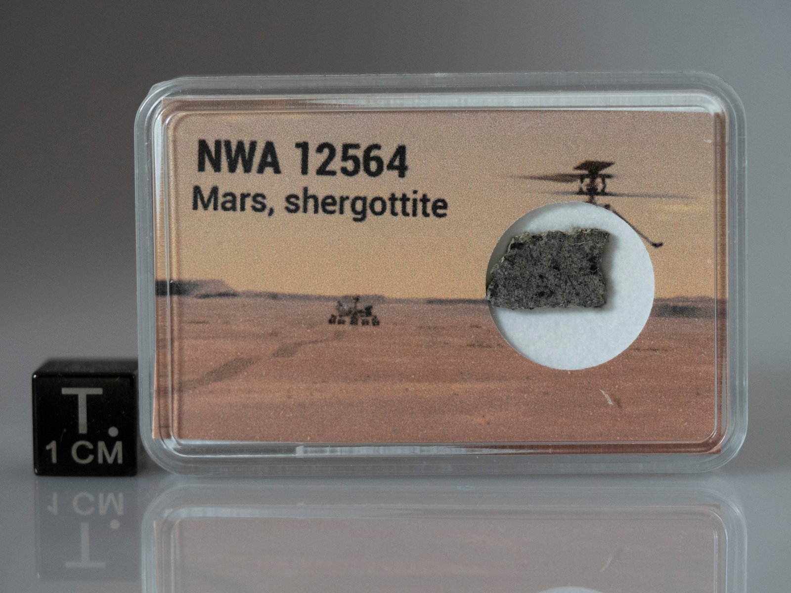 NWA 12564 (shergottite) - 0.379g part slice