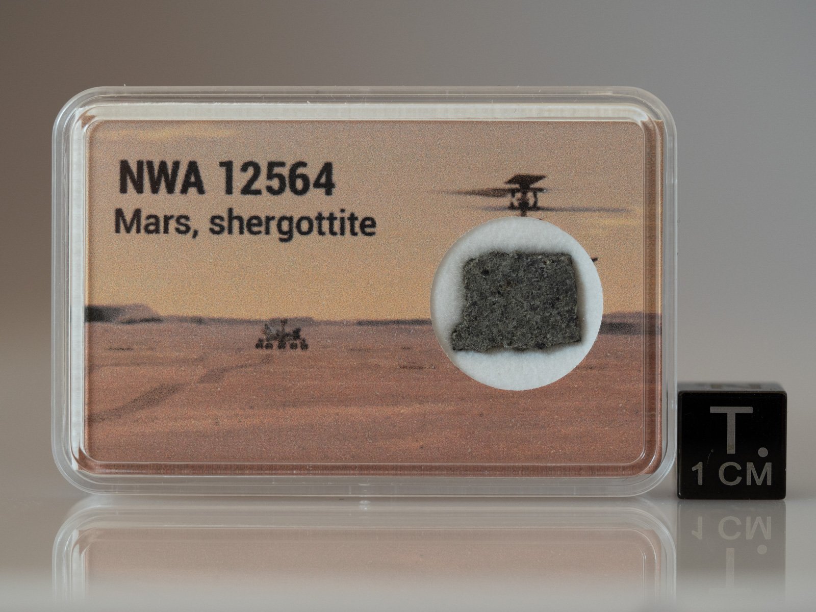NWA 12564 (shergottite) - 0.482g part slice