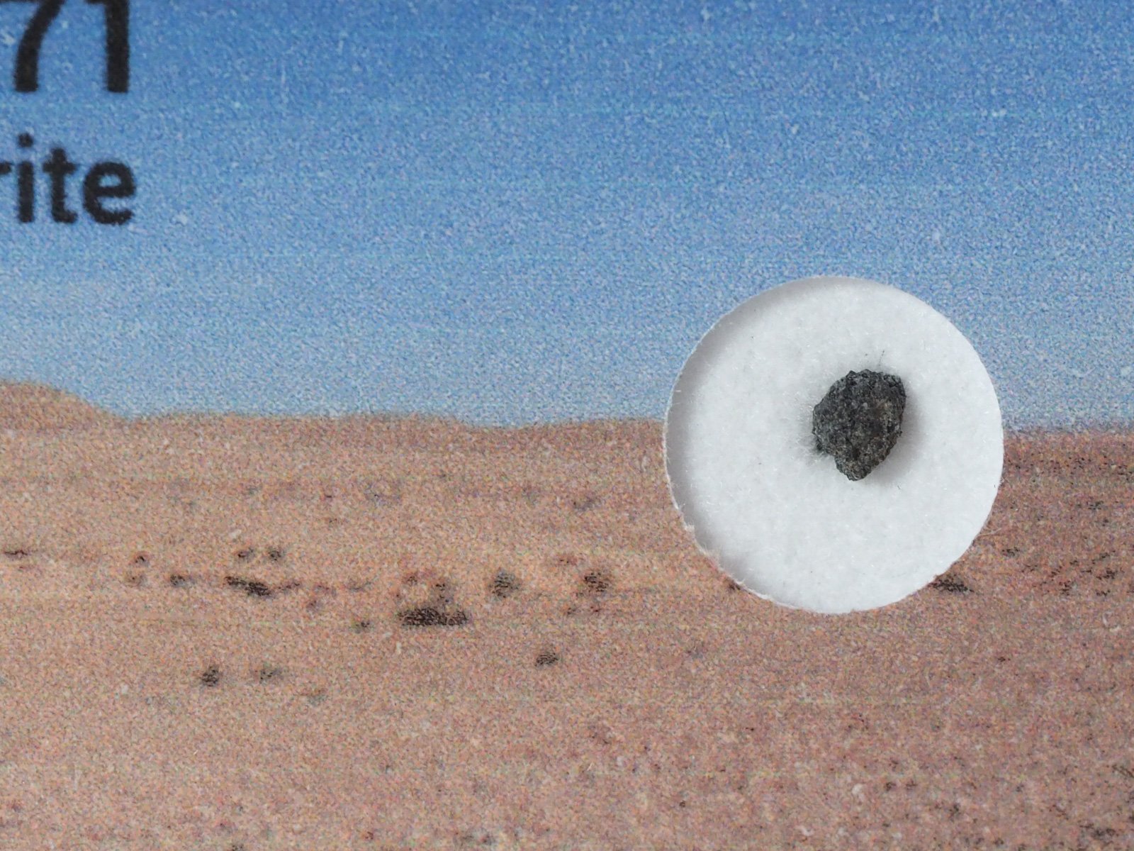 NWA 12671 (CK6) - 0.019g fragment - Image 2