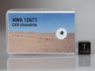 NWA 12671 (CK6) - 0.019g fragment