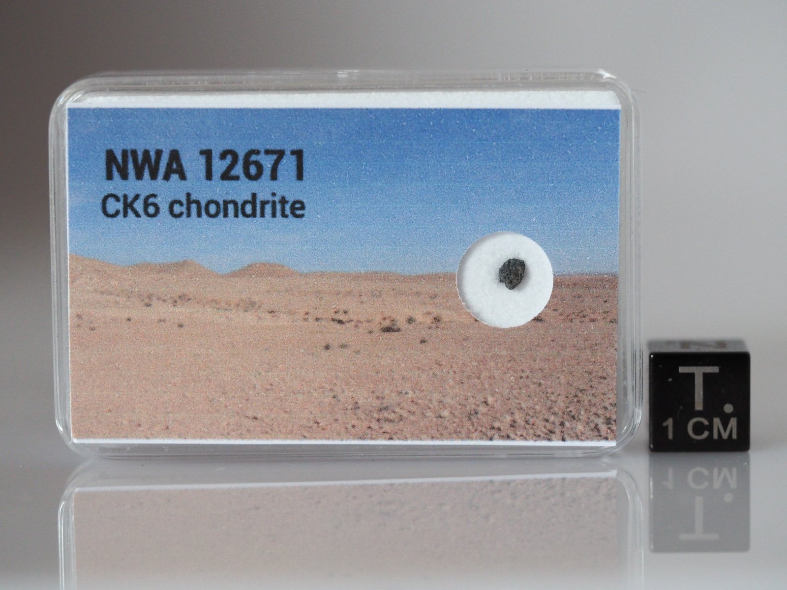 NWA 12671 (CK6) - 0.019g fragment