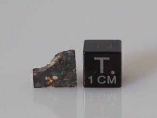 NWA 12741 (diogenite) - 0.46g part slice