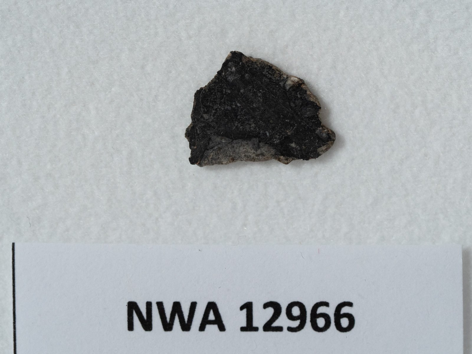 NWA 12966 (feldsp. breccia) - 0.129g part slice - Image 2