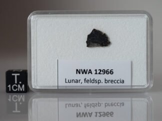 NWA 12966 (feldsp. breccia) - 0.129g part slice