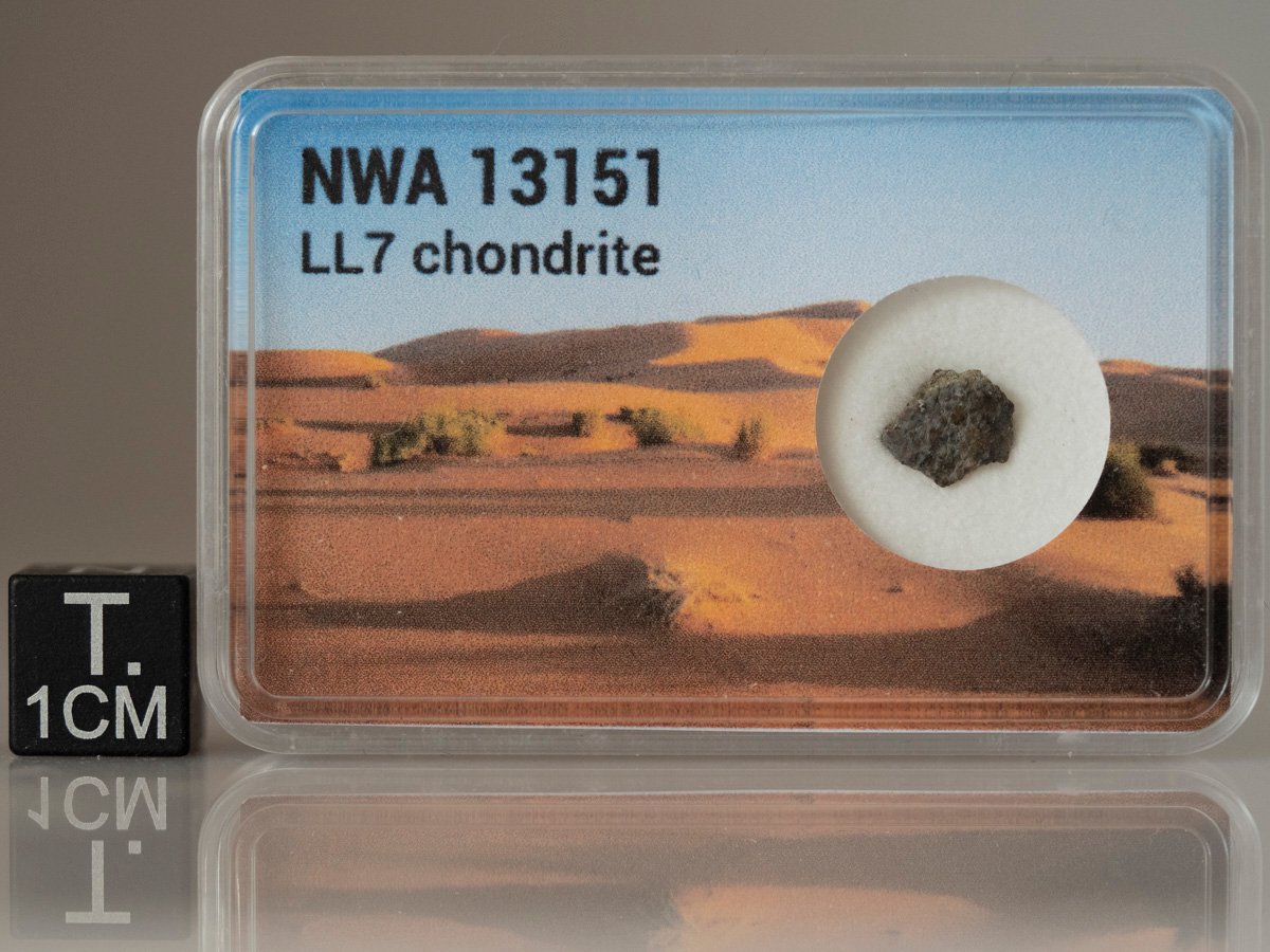 NWA 13151 (LL7) - 0.189g fragment