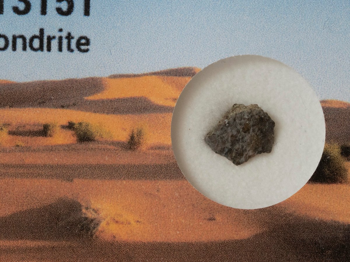 NWA 13151 (LL7) - 0.189g fragment - Image 2