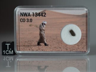 NWA 13442 (CO 3.0) - 0.046g part slice