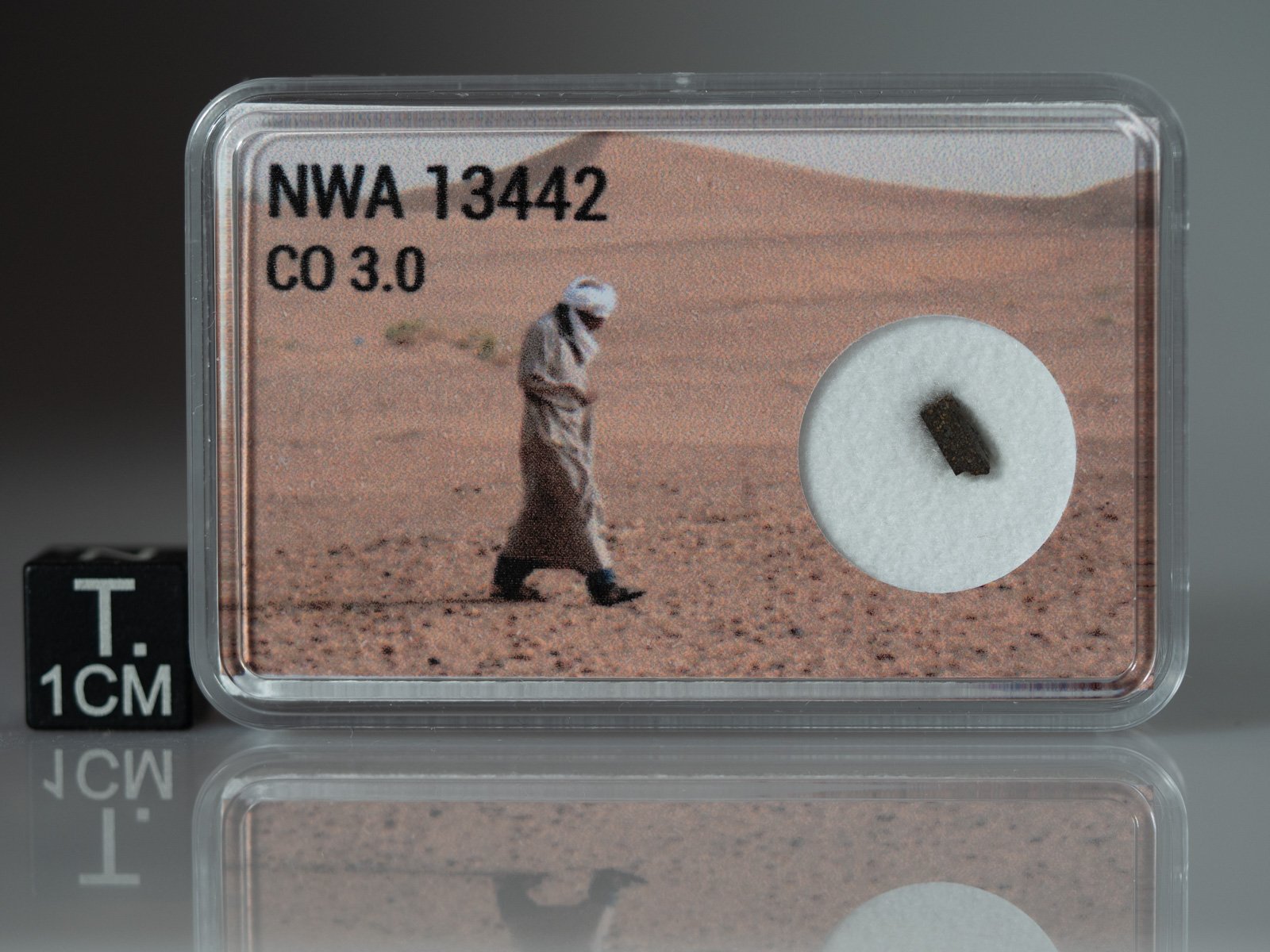NWA 13442 (CO 3.0) - 0.046g part slice