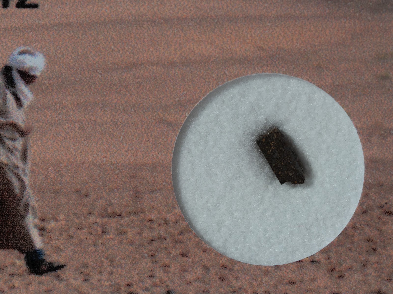 NWA 13442 (CO 3.0) - 0.046g part slice - Image 2