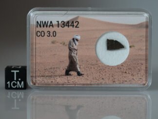 NWA 13442 (CO 3.0) - 0.142g part slice