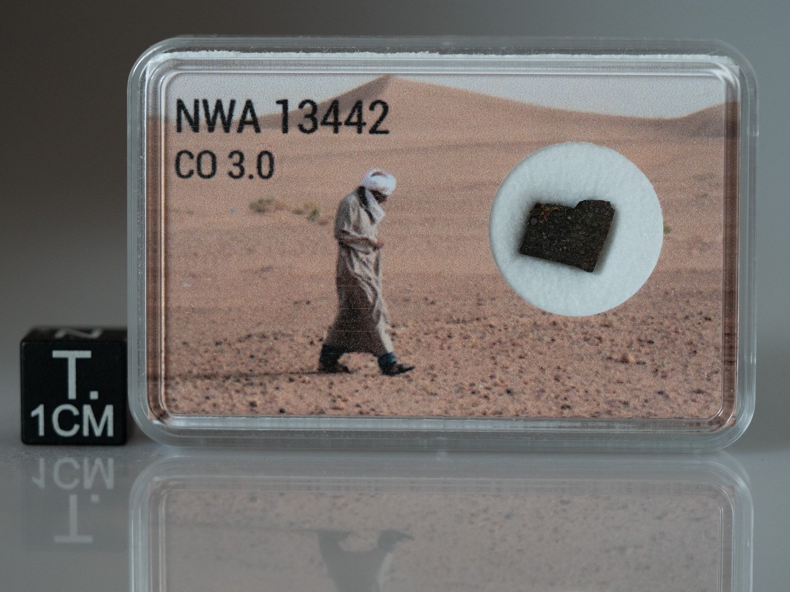 NWA 13442 (CO 3.0) - 0.240g part slice