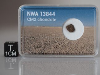 NWA 13844 (CM2) - 0.123g fragment