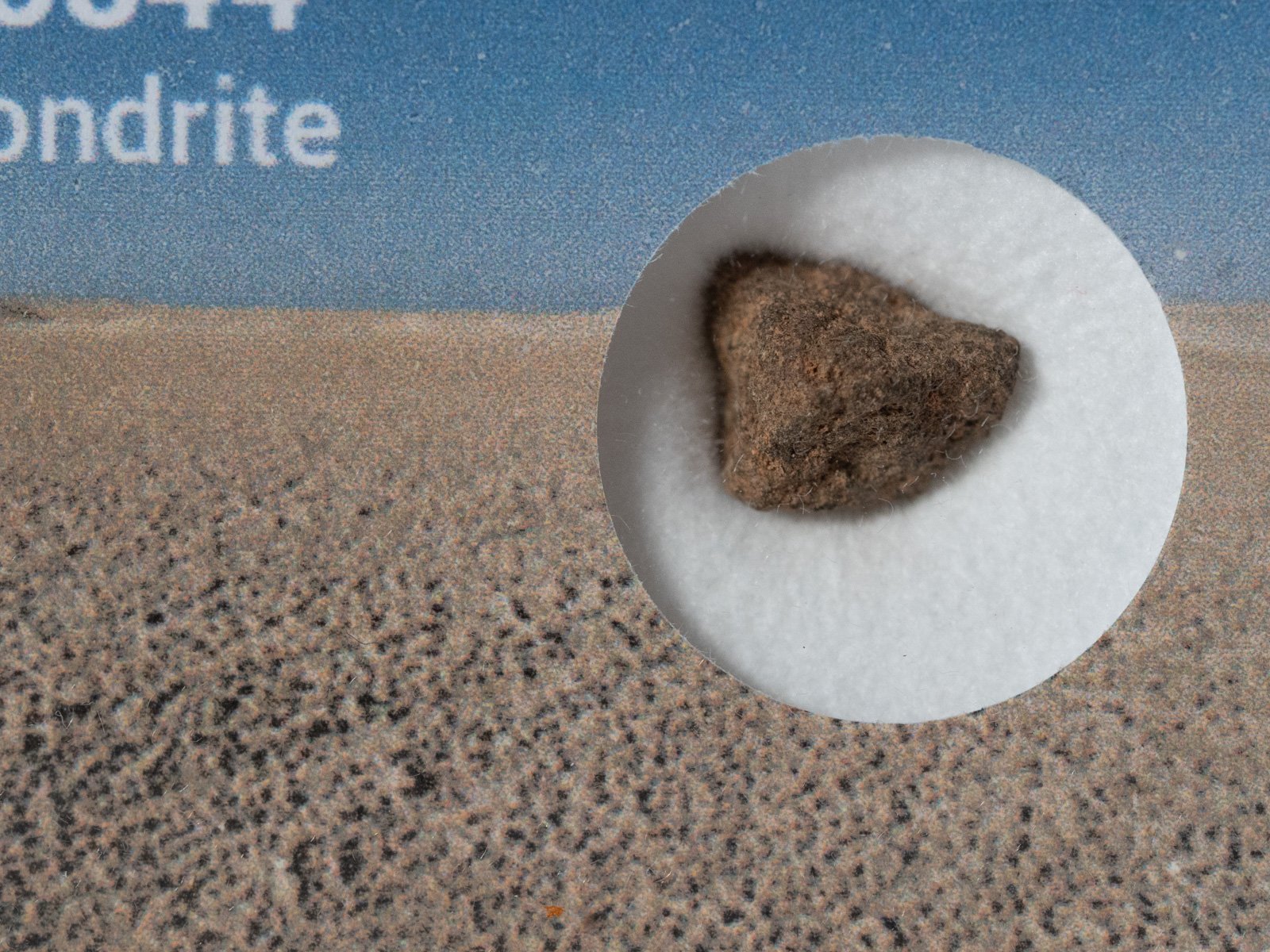 NWA 13844 (CM2) - 0.292g fragment - Image 2