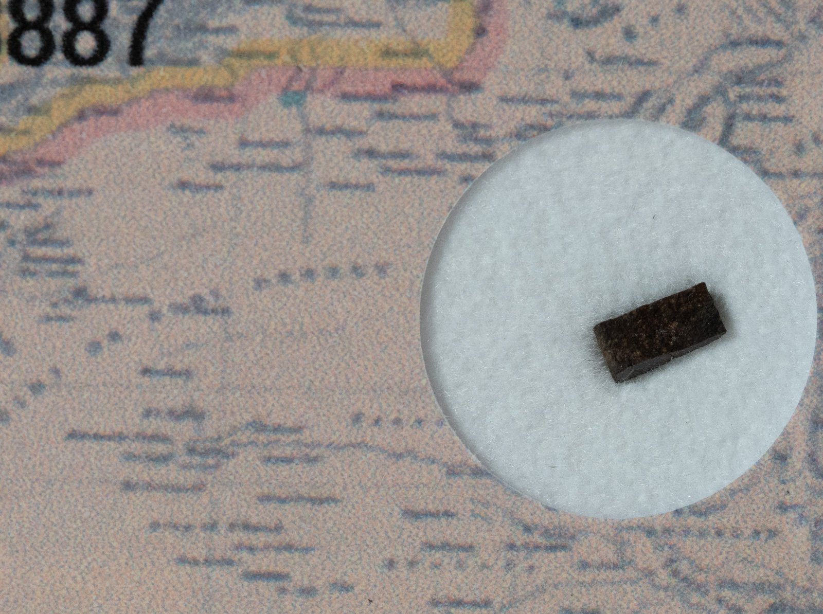 NWA 13887 (CO3) - 0.039g part slice - Image 2